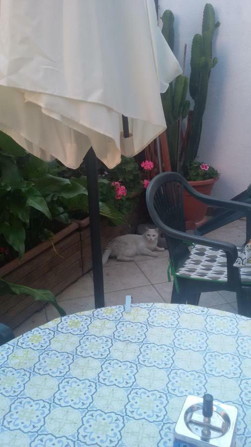 Apartament Nenna Olbia Zewnętrze zdjęcie