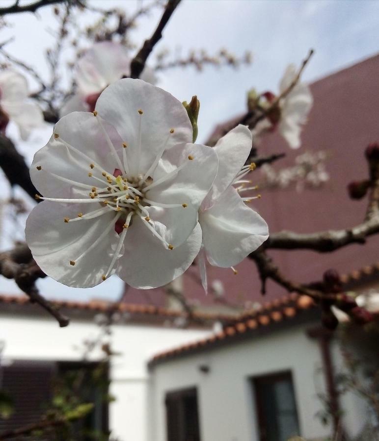 Apartament Nenna Olbia Zewnętrze zdjęcie